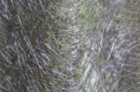 Bank Street fibreglass roof work